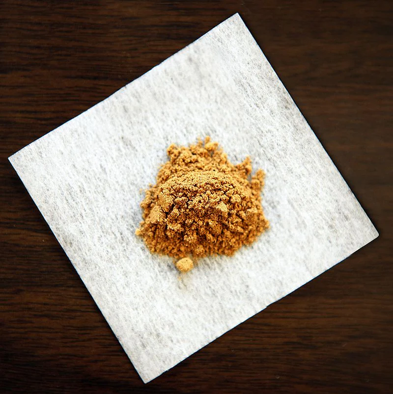 Bio Cordyceps Militaris Pulver - Image 6