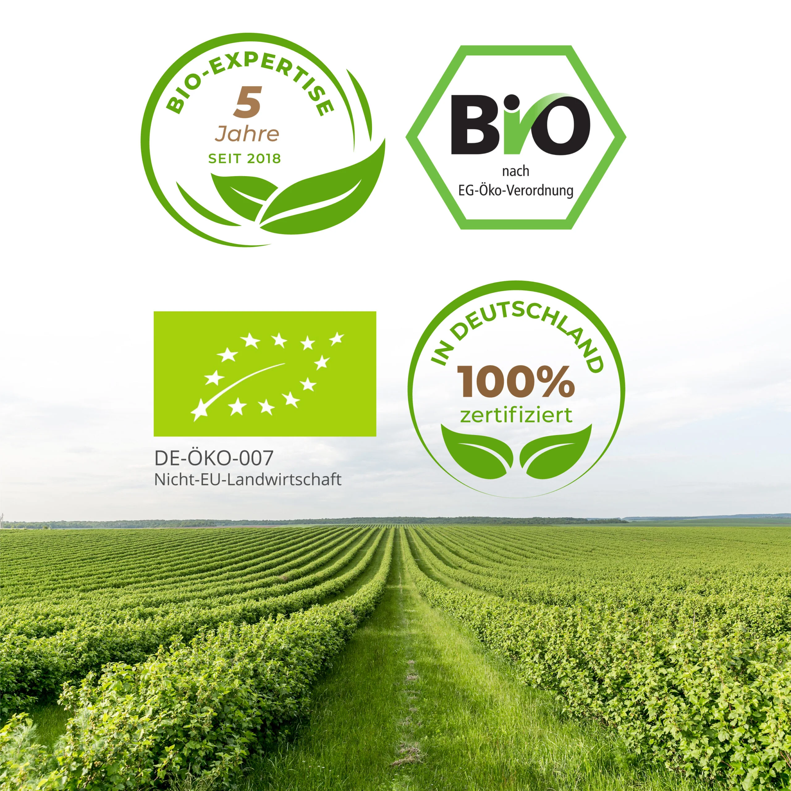 Bio Salbeiblätter getrocknet & geschnitten - Image 3