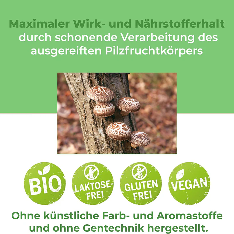Bio Shiitake Pulver 250g – Premiumqualität für dein Wohlbefinden und deinen Genuss - Image 13