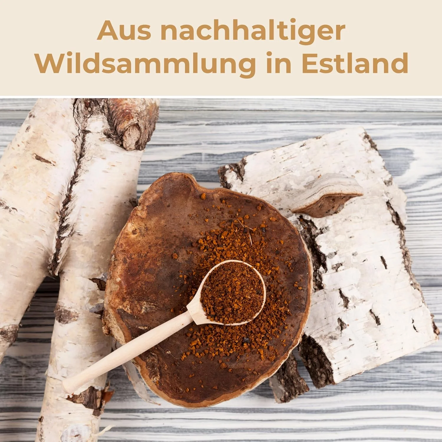 Chaga Pulver aus baltischer Vitalpilz-Wildsammlung - Image 4