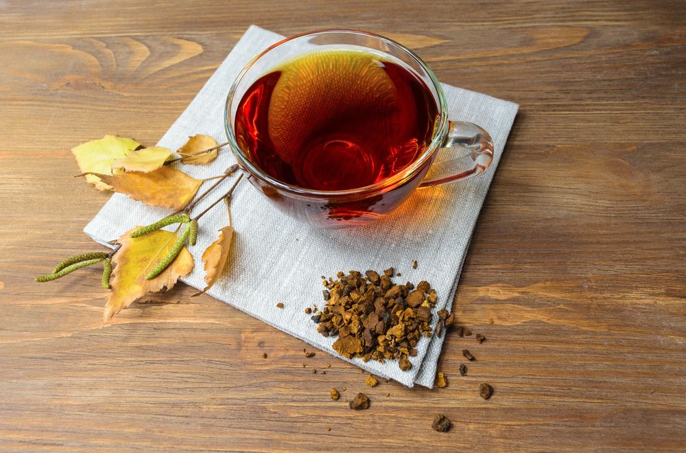 Chaga Pulver aus baltischer Vitalpilz-Wildsammlung - Image 6