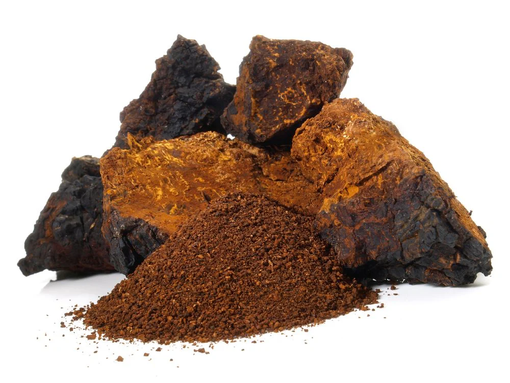 Chaga Pulver aus baltischer Vitalpilz-Wildsammlung - Image 8