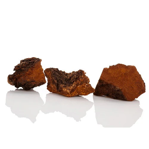 Chaga Softgel Kapseln | Vitalpilz aus Wildsammlung - Image 5