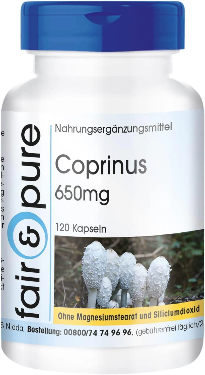 Coprinus Comatus Kapseln | 650mg 120 Stück - Image 3