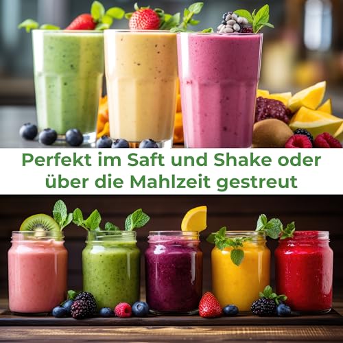 Hericium Pulver 250g | Bio | Rohkost | Hochwertiger Vitalpilz Igelstachelbart - Image 10