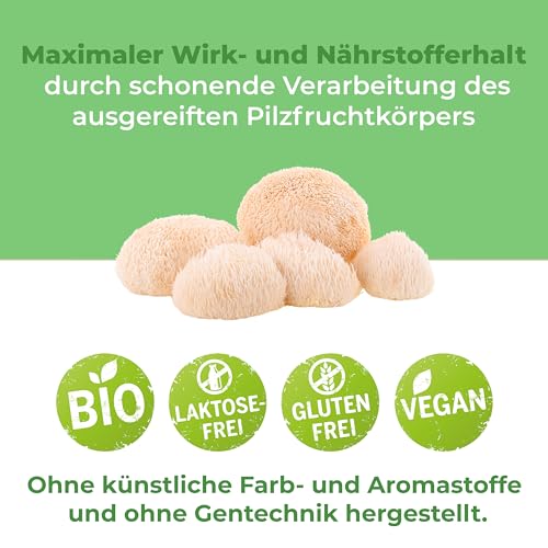 Hericium Pulver 250g | Bio | Rohkost | Hochwertiger Vitalpilz Igelstachelbart - Image 3