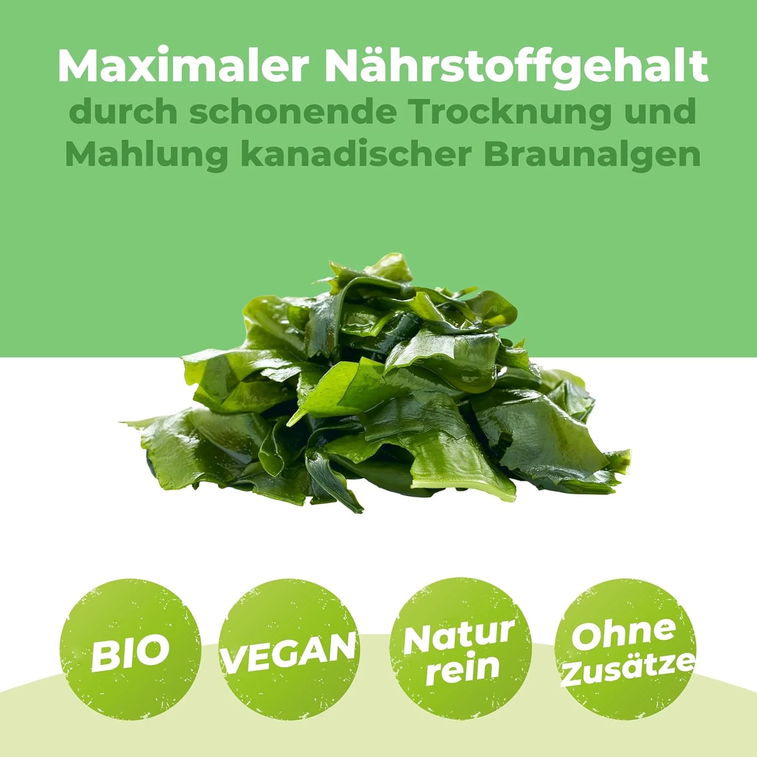 Kelp Pulver 250g | Bio Kelp Algen - Image 4