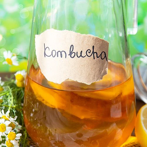 Kombucha Starter Set mit Kombucha Teepilz (SCOBY) + Zubehör – von Fermania - Image 3