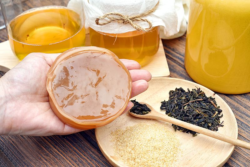 Kombucha Starter Set mit Kombucha Teepilz (SCOBY) + Zubehör – von Fermania - Image 4