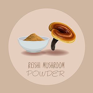 Reishi Pulver 250g | Bio | Vitalpilz für Reishi Tee - Image 6